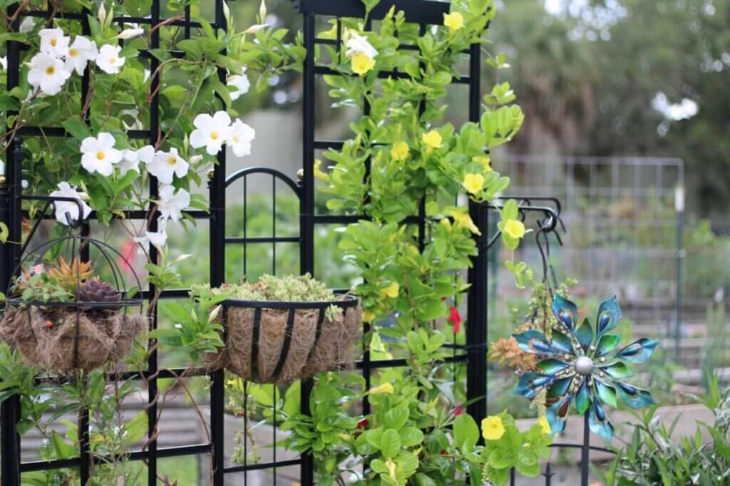 metal garden trellis with plants