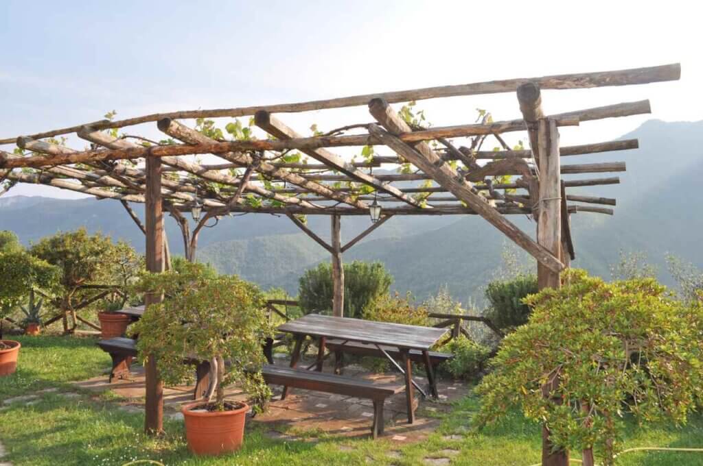 beautiful garden with pergola