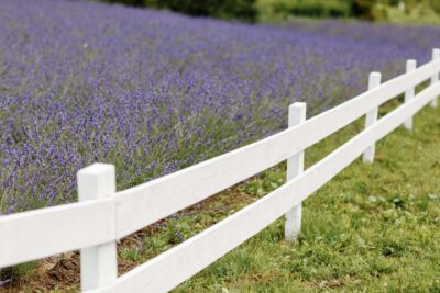 short white fence