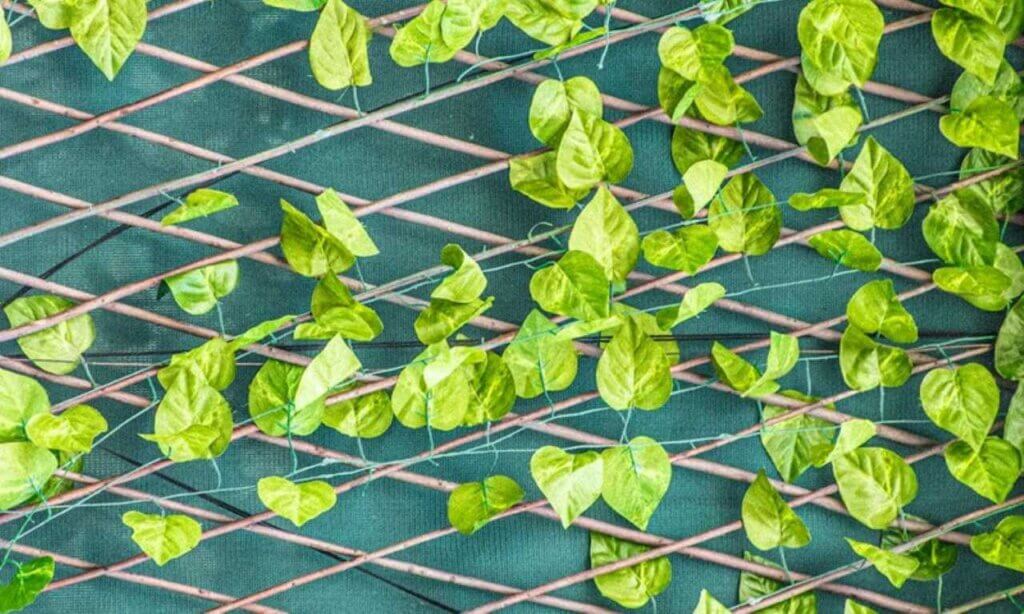 a trellis mounted on a wall with green plants climbing