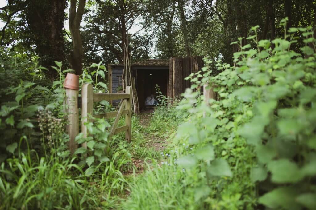 scene or a rural woodland with a small shed and fence