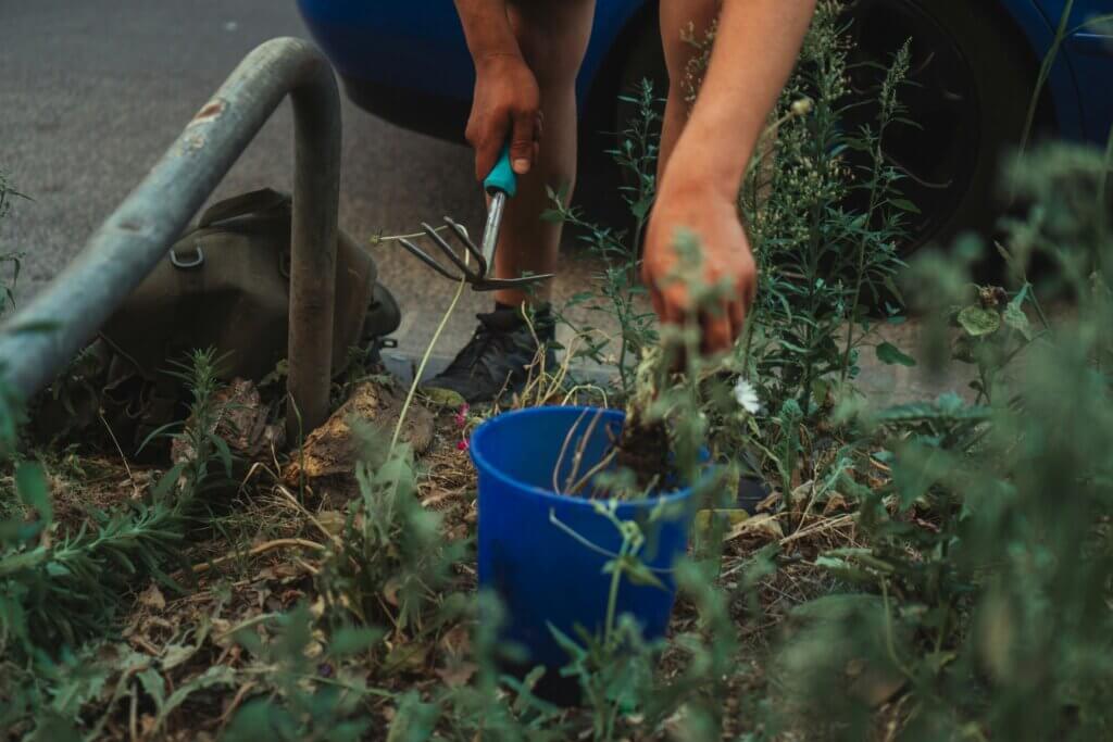 Person tending to a garden with tools